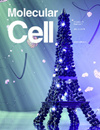 MOLECULAR CELL雜志封面